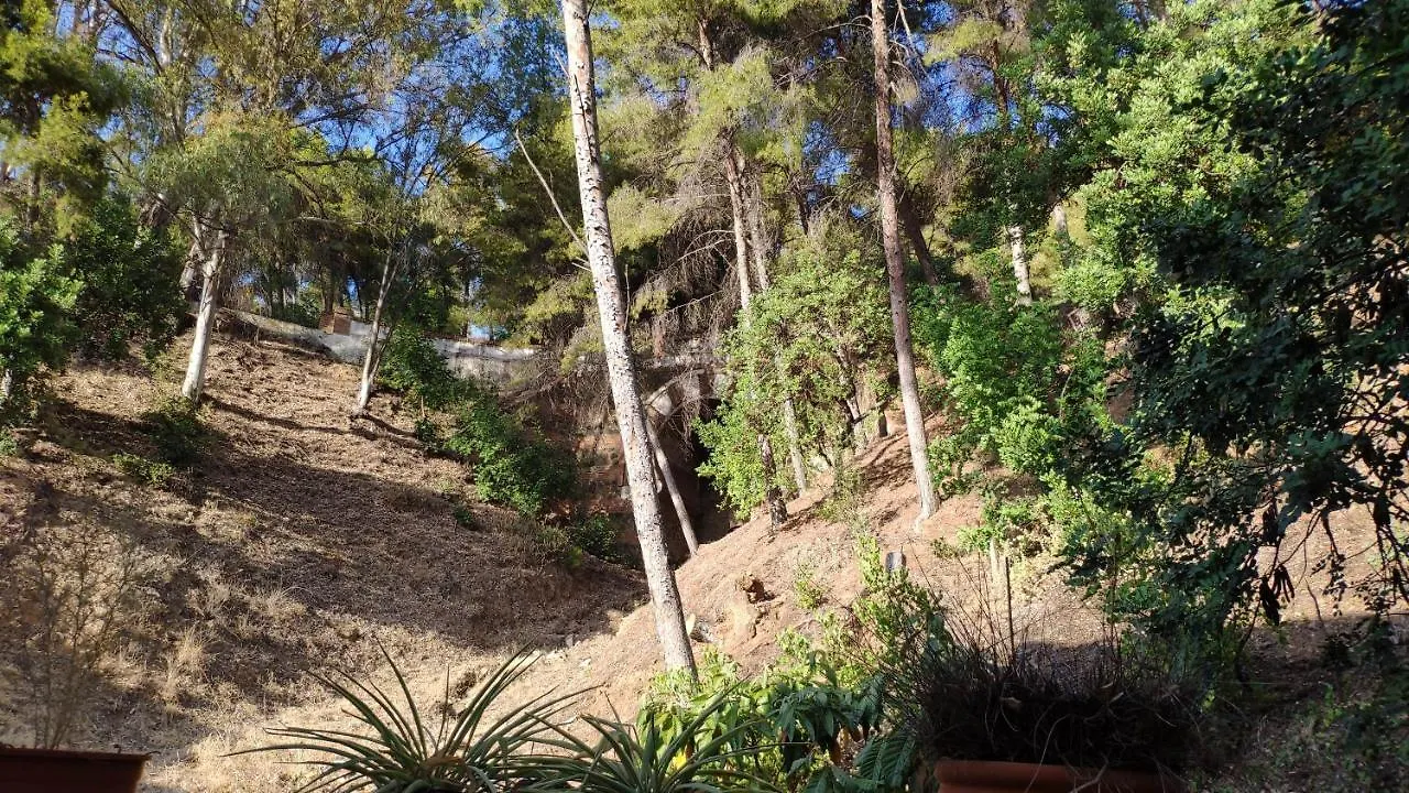 Fabulosa Casa Del Arbol Malaga